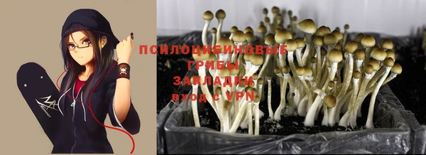 ALPHA-PVP Алзамай