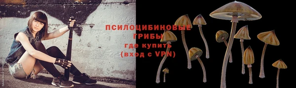 кристаллы Арсеньев