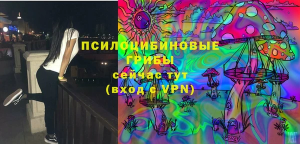Альфа ПВП Аркадак