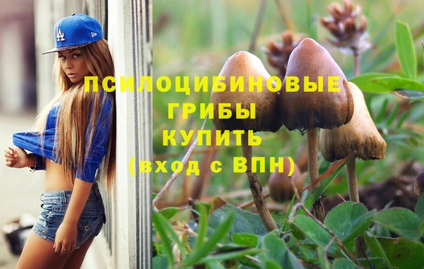 ПСИЛОЦИБИНОВЫЕ ГРИБЫ Переславль-Залесский
