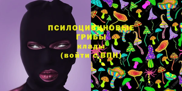 Альфа ПВП Аркадак