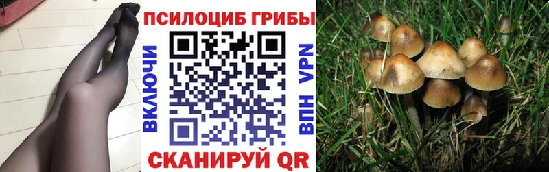 наркота  blacksprut как войти  Галлюциногенные грибы GOLDEN TEACHER  Судак 